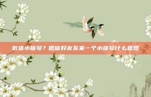 微信小信号?微信好友发来一个小信号什么意思