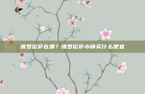 佛罗伦萨在哪?佛罗伦萨小镇买什么便宜