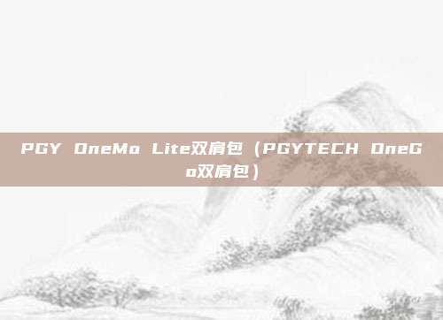 PGY OneMo Lite双肩包（PGYTECH OneGo双肩包）