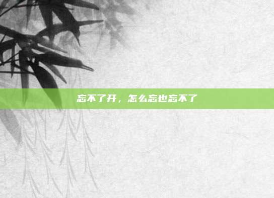 忘不了开，怎么忘也忘不了