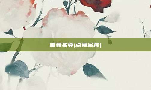 唯舞独尊(点舞名称)