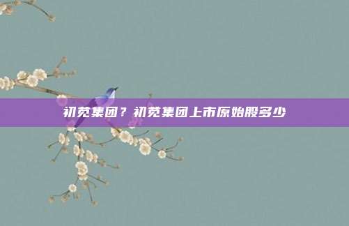 初苋集团?初苋集团上市原始股多少