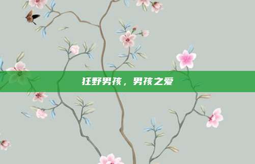 狂野男孩,男孩之爱