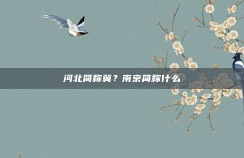 河北简称冀?南京简称什么