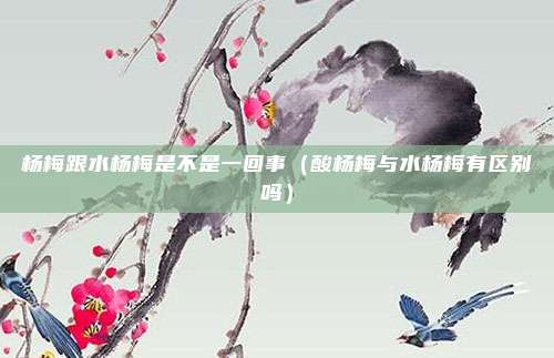 杨梅跟水杨梅是不是一回事（酸杨梅与水杨梅有区别吗）
