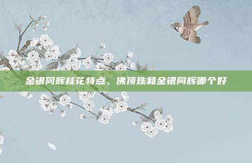 金银同辉桂花特点，佛顶珠和金银同辉哪个好