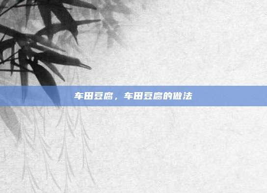 车田豆腐，车田豆腐的做法