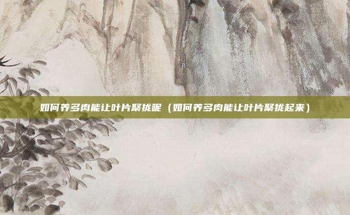 如何养多肉能让叶片聚拢呢（如何养多肉能让叶片聚拢起来）