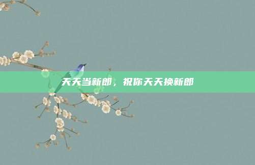 天天当新郎,祝你天天换新郎