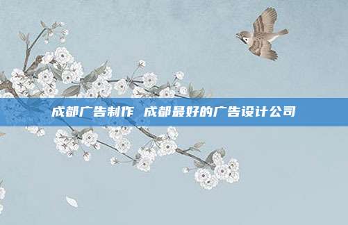 成都广告制作 成都最好的广告设计公司
