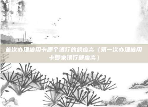 首次办理信用卡哪个银行的额度高（第一次办理信用卡哪家银行额度高）
