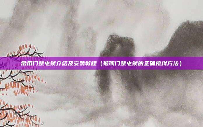 常用门禁电锁介绍及安装教程(玻璃门禁电锁的正确接线方法)