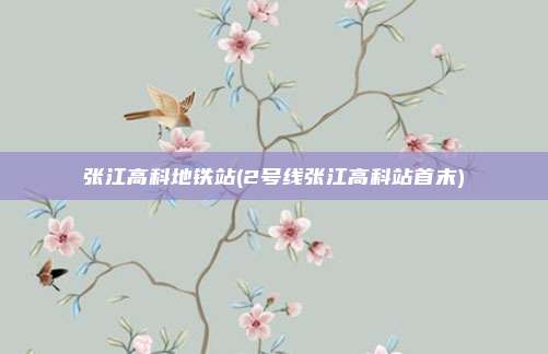 张江高科地铁站(2号线张江高科站首末)