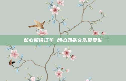 郎心如铁江华 郎心如铁文浩最爱谁