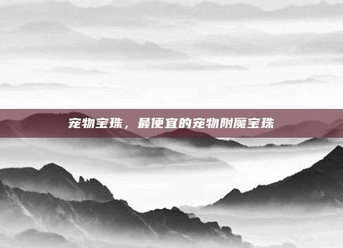 宠物宝珠，最便宜的宠物附魔宝珠