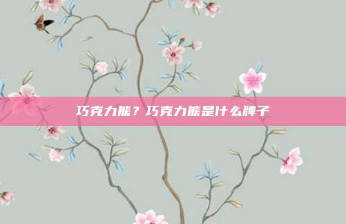 巧克力熊？巧克力熊是什么牌子