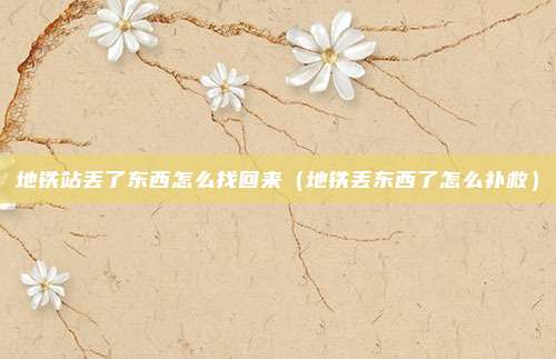 地铁站丢了东西怎么找回来（地铁丢东西了怎么补救）