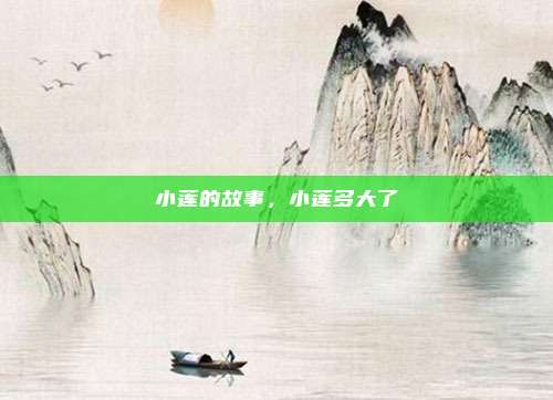 小莲的故事,小莲多大了
