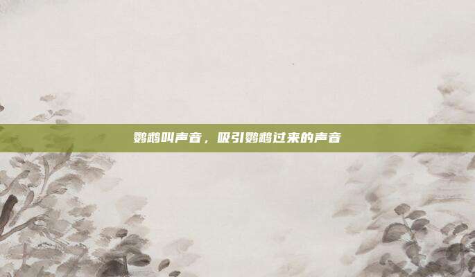 鹦鹉叫声音,吸引鹦鹉过来的声音