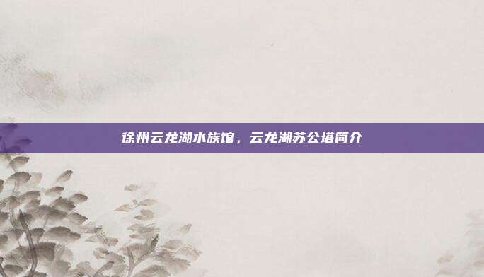 徐州云龙湖水族馆，云龙湖苏公塔简介