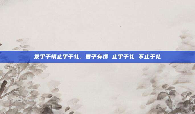 发乎于情止乎于礼，君子有情 止乎于礼 不止于礼