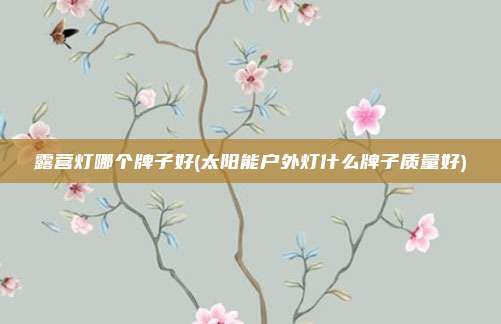 露营灯哪个牌子好(太阳能户外灯什么牌子质量好)