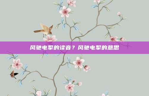 风驰电掣的读音？风驰电掣的意思