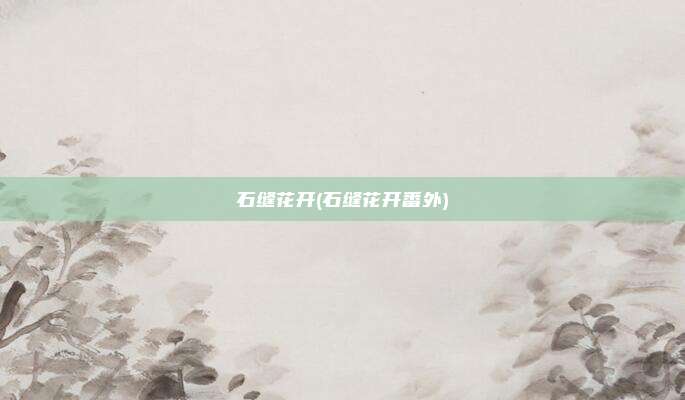 石缝花开(石缝花开番外)