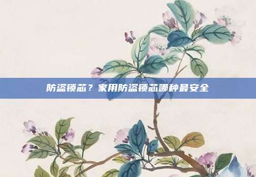 防盗锁芯?家用防盗锁芯哪种最安全