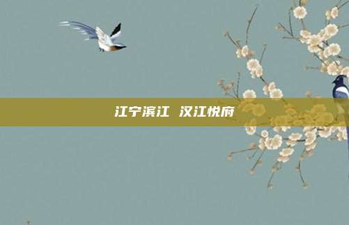 江宁滨江 汉江悦府