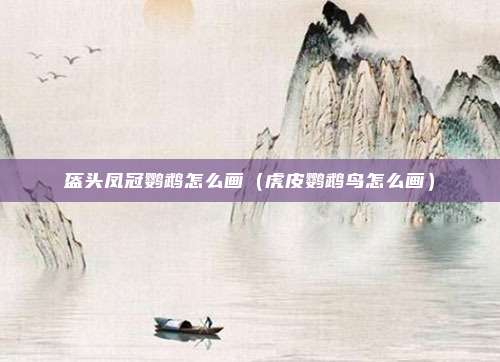 盔头凤冠鹦鹉怎么画（虎皮鹦鹉鸟怎么画）
