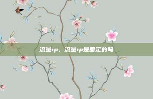 流量ip，流量ip是固定的吗
