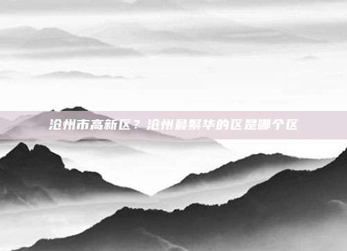 沧州市高新区?沧州最繁华的区是哪个区