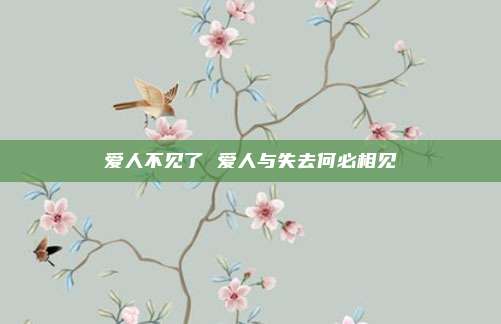 爱人不见了 爱人与失去何必相见