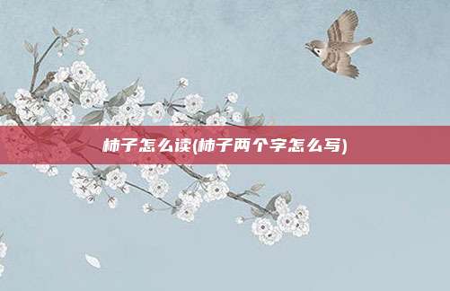 柿子怎么读(柿子两个字怎么写)