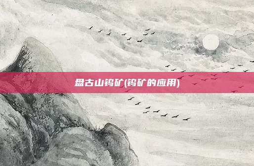 盘古山钨矿(钨矿的应用)