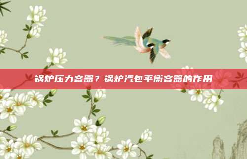 锅炉压力容器？锅炉汽包平衡容器的作用