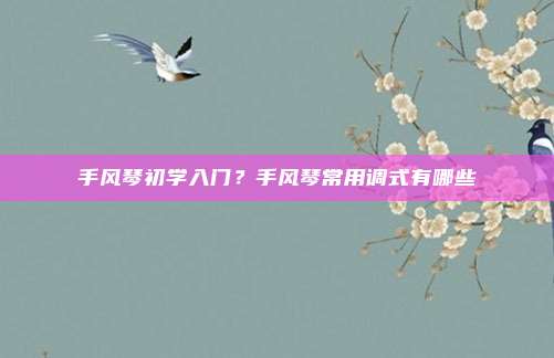 手风琴初学入门?手风琴常用调式有哪些