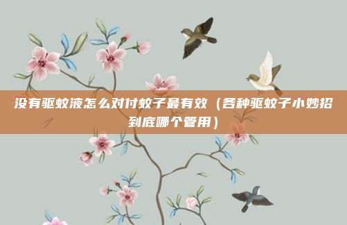 没有驱蚊液怎么对付蚊子最有效（各种驱蚊子小妙招到底哪个管用）