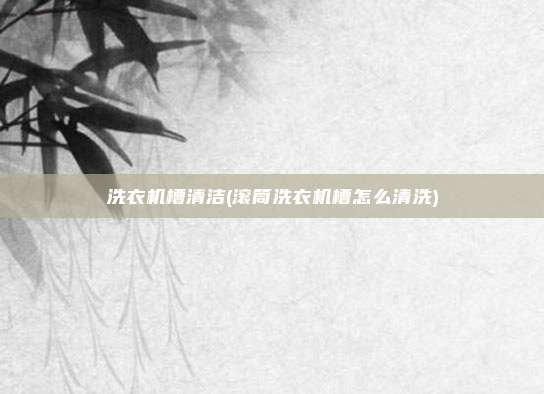 洗衣机槽清洁(滚筒洗衣机槽怎么清洗)