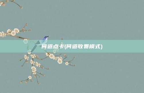 问道点卡(问道收费模式)