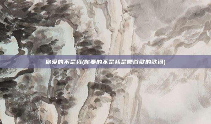 你爱的不是我(你要的不是我是哪首歌的歌词)