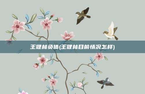 王健林负债(王健林目前情况怎样)