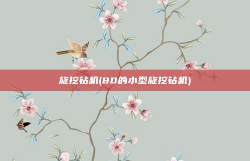 旋挖钻机(80的小型旋挖钻机)