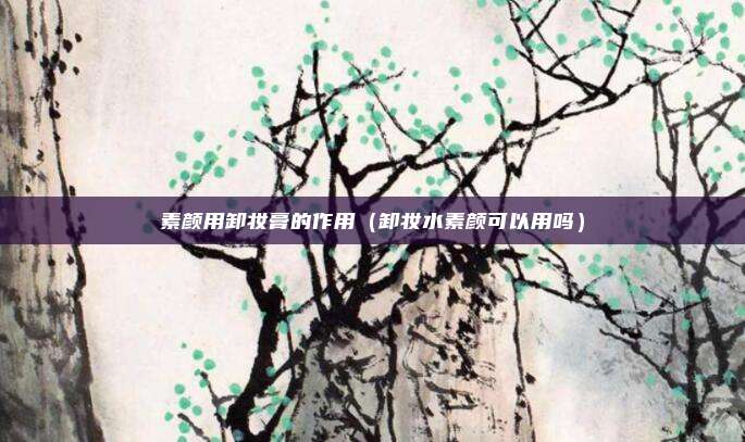 素颜用卸妆膏的作用（卸妆水素颜可以用吗）