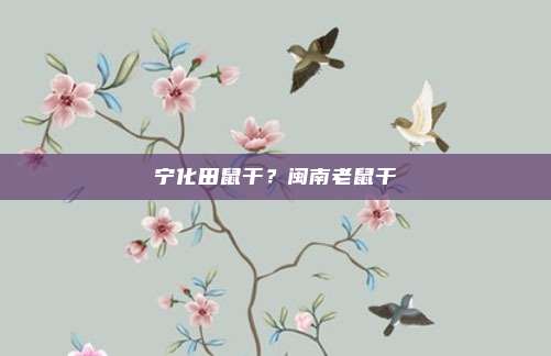 宁化田鼠干?闽南老鼠干