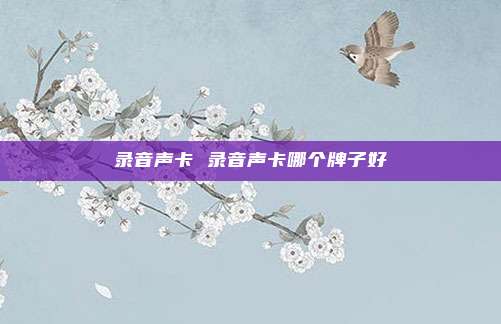 录音声卡 录音声卡哪个牌子好