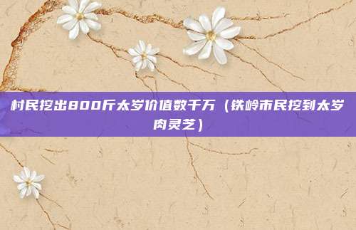 村民挖出800斤太岁价值数千万（铁岭市民挖到太岁肉灵芝）