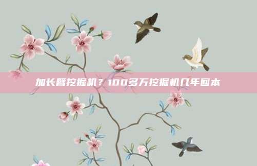 加长臂挖掘机?100多万挖掘机几年回本