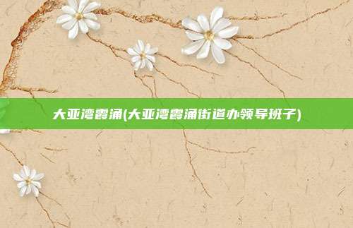 大亚湾霞涌(大亚湾霞涌街道办领导班子)